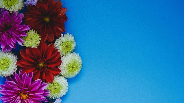 技术动作和 技术动作和