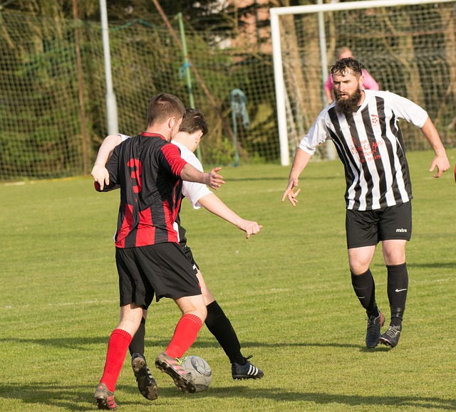 天賦異稟 天賦異稟