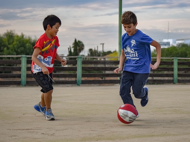 象的真面目 象的真面目