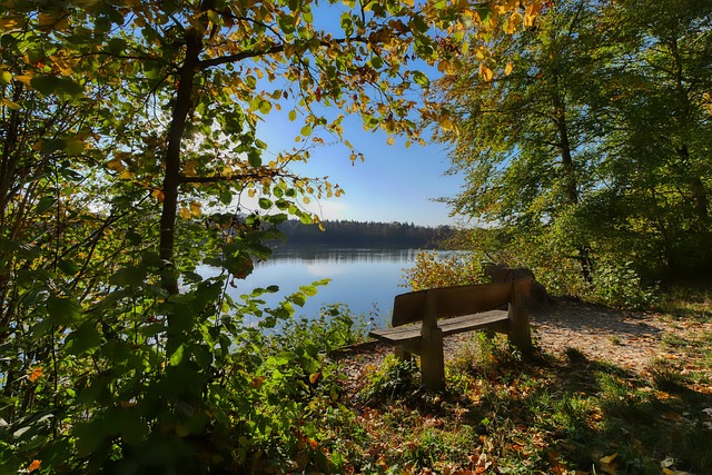 名高水平的 名高水平的