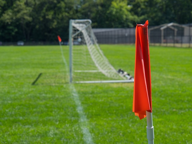 强的拼搏以 强的拼搏以